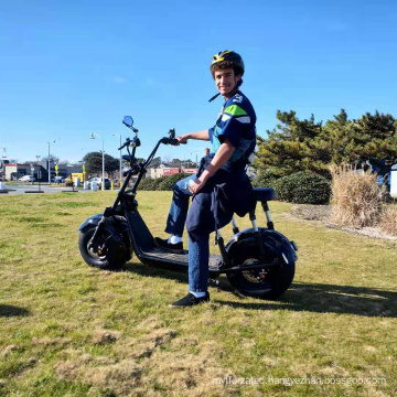 13.6ah/21.8ah lithium battery citycoco 1500W/2000W fat tire electric scooter